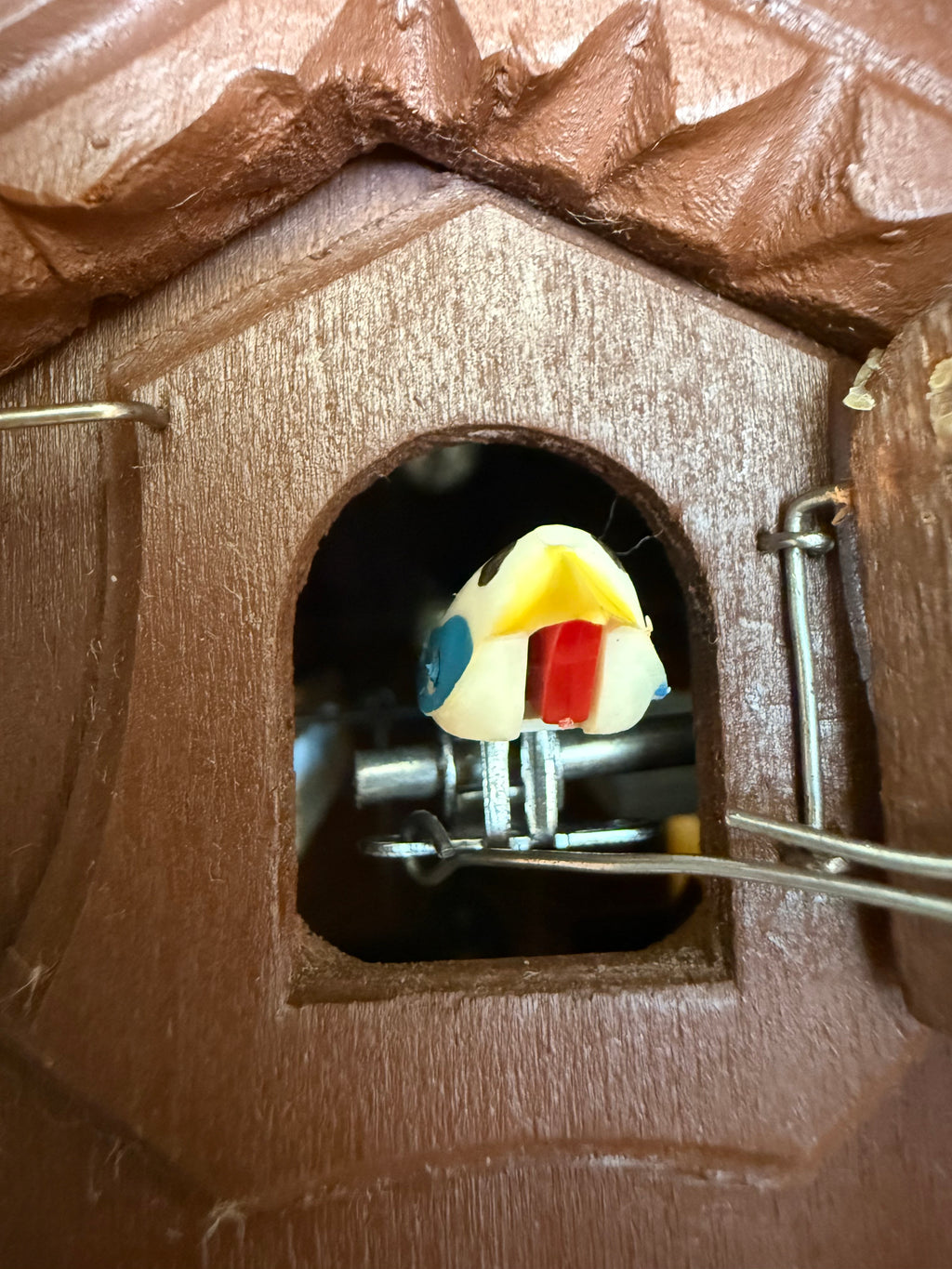 Restored Vintage Hubert Herr Cuckoo Clock – 1-Day German Black Forest Bird and Maple Leaf Clock