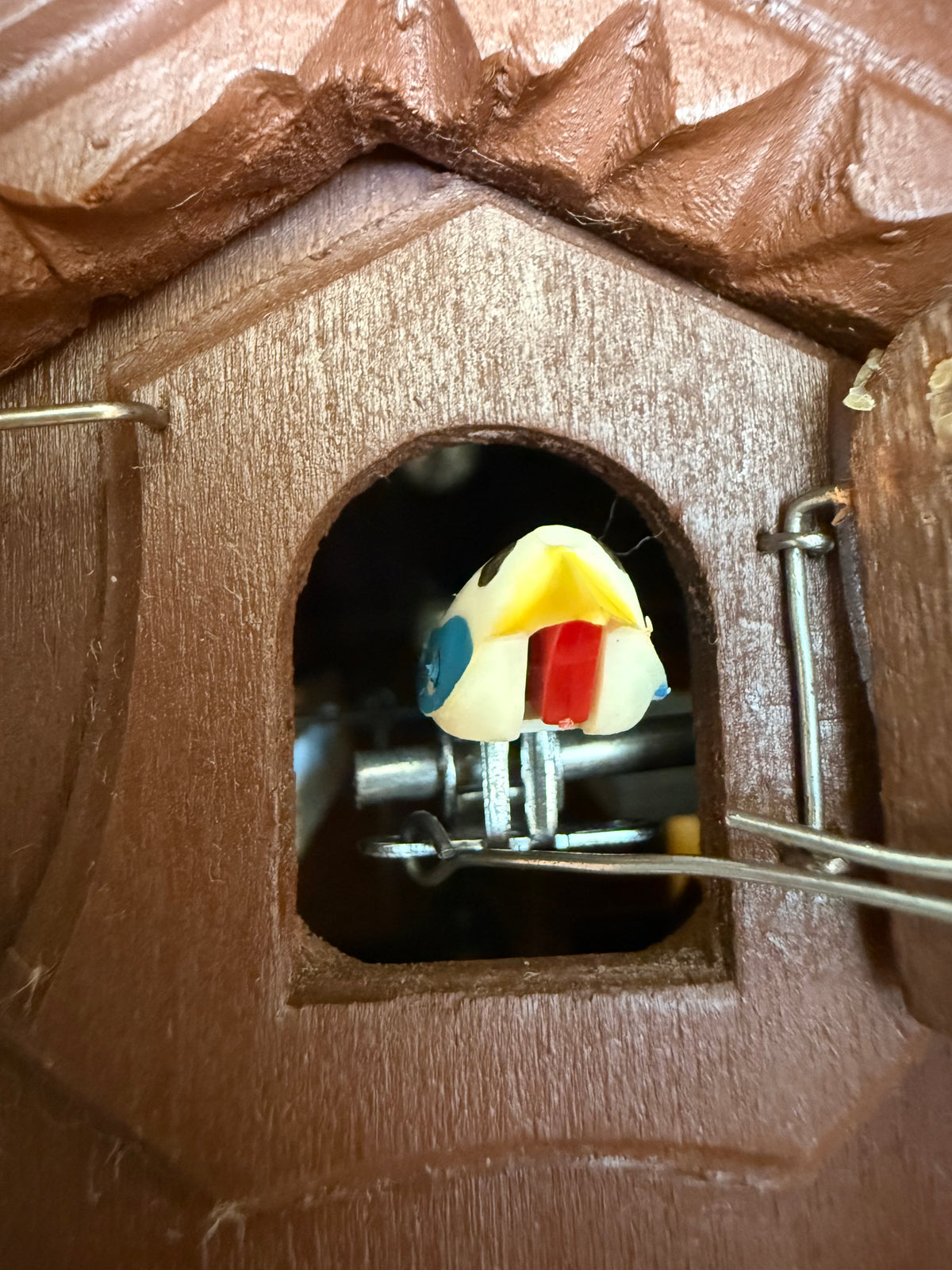Restored Vintage Hubert Herr Cuckoo Clock – 1-Day German Black Forest Bird and Maple Leaf Clock