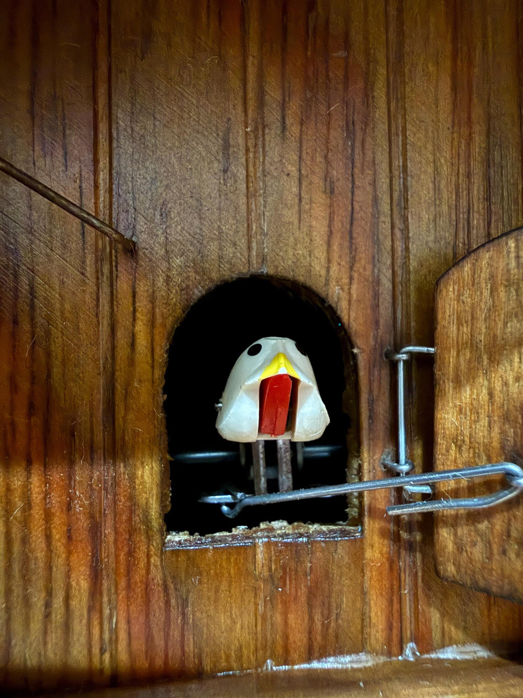 Restored Black Forest Chalet Cuckoo Clock – 1-Day